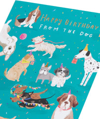 UK Greetings Birthday Card from The Dog, for Him/Her/Friend, Cute Design