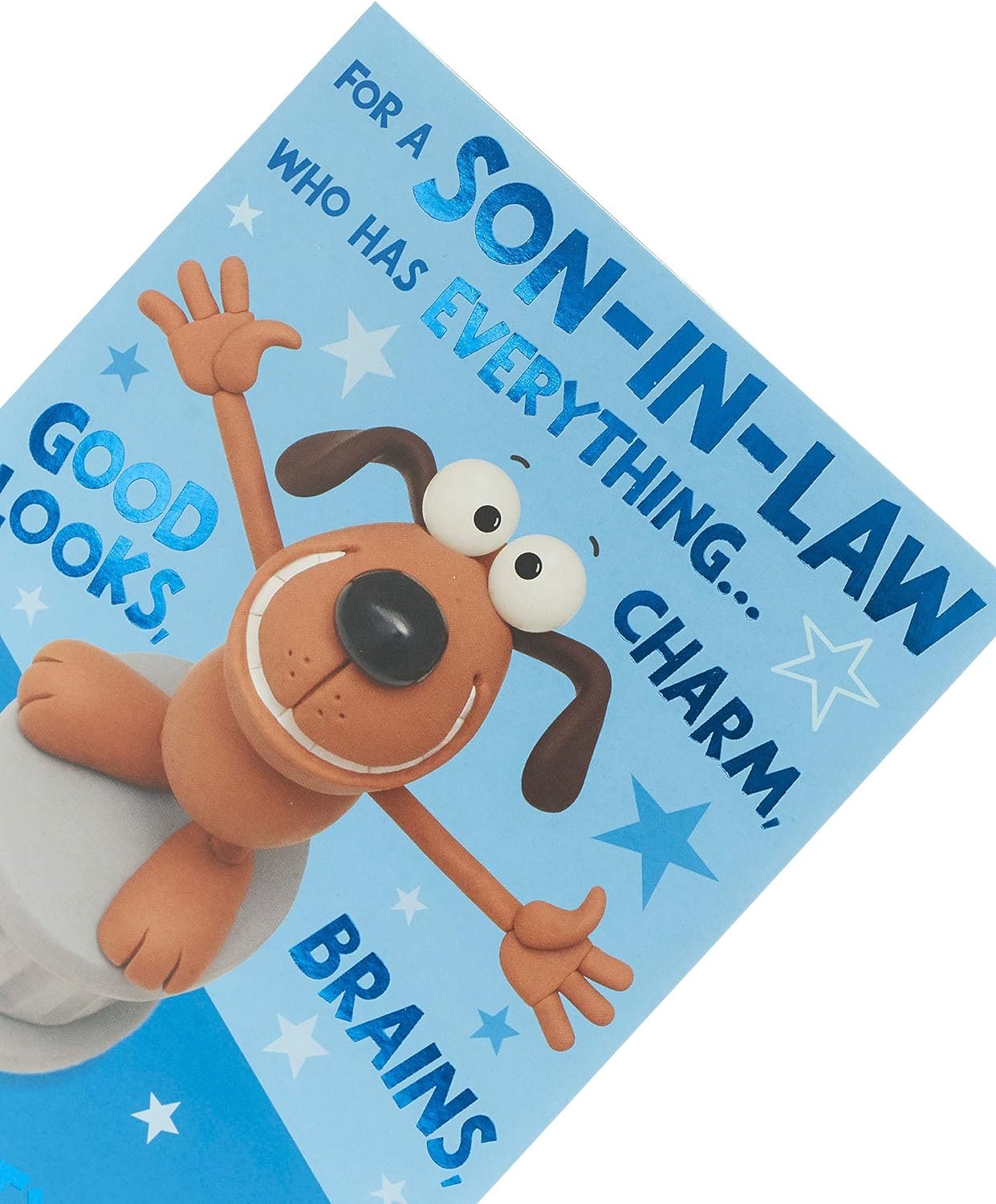 Funny Son in Law Birthday Card