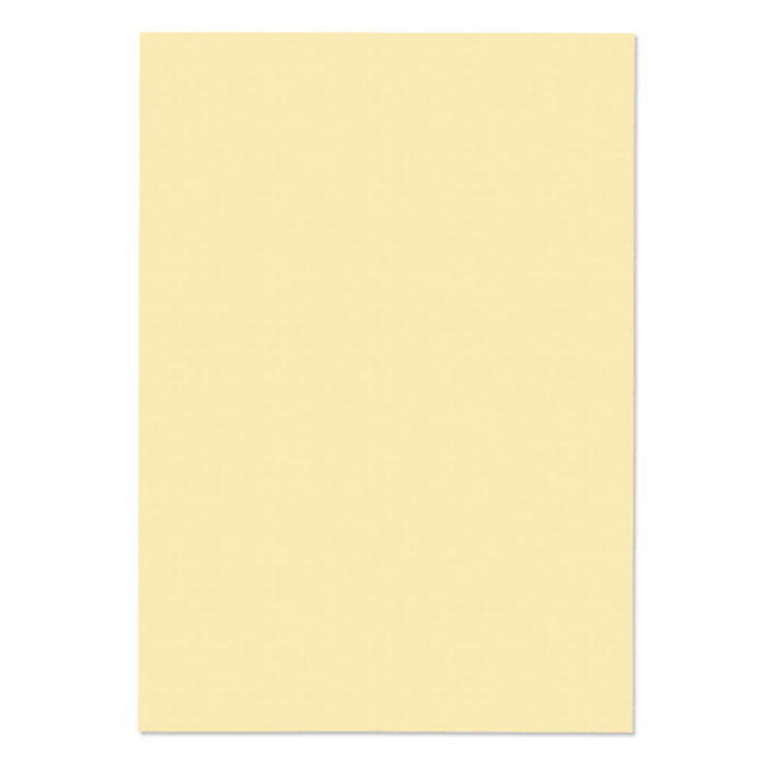 Blake Premium Business Paper A4 120gsm Vellum Laid (Pack 500) - 95677