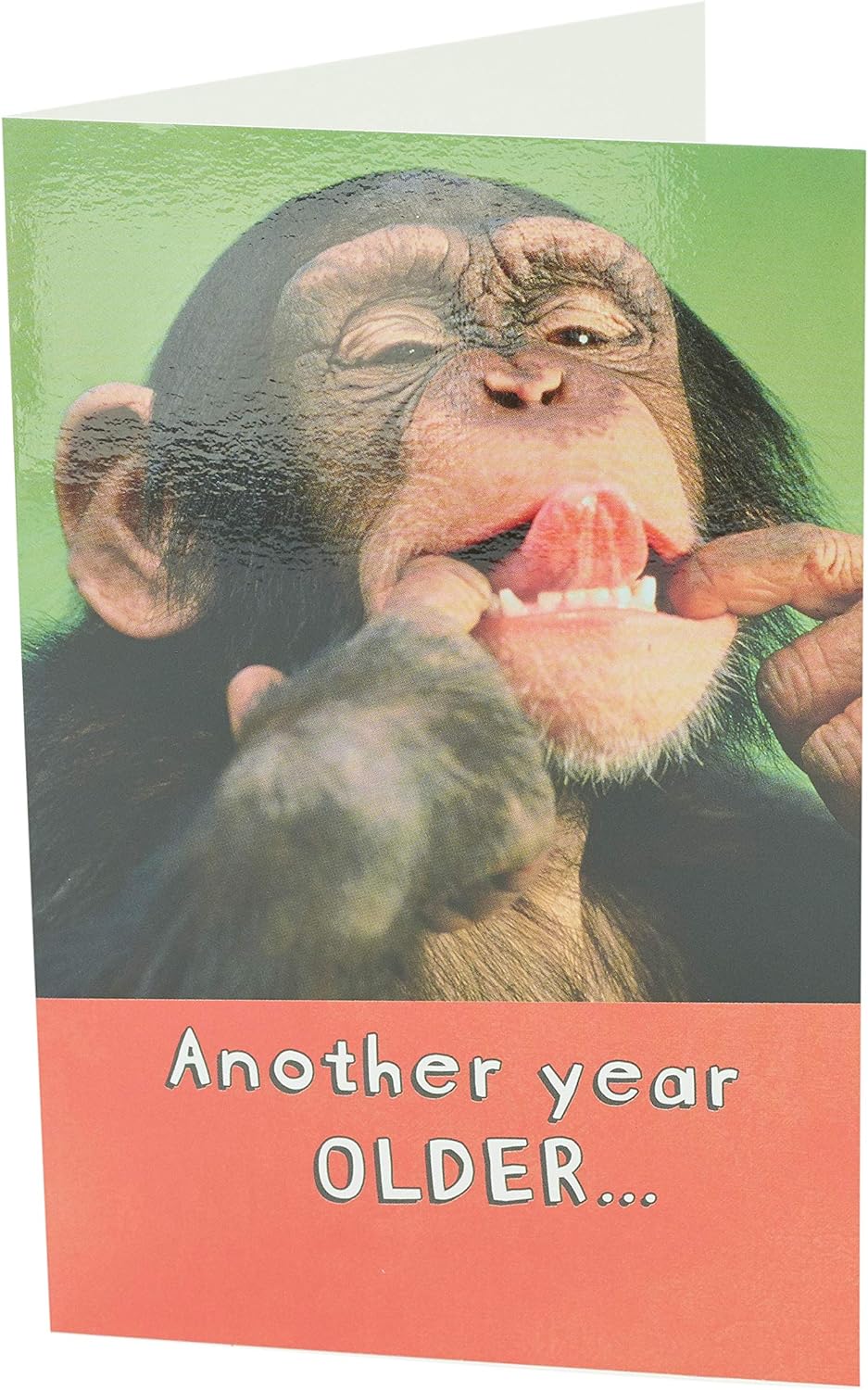 Say Cheese! Birthday Card