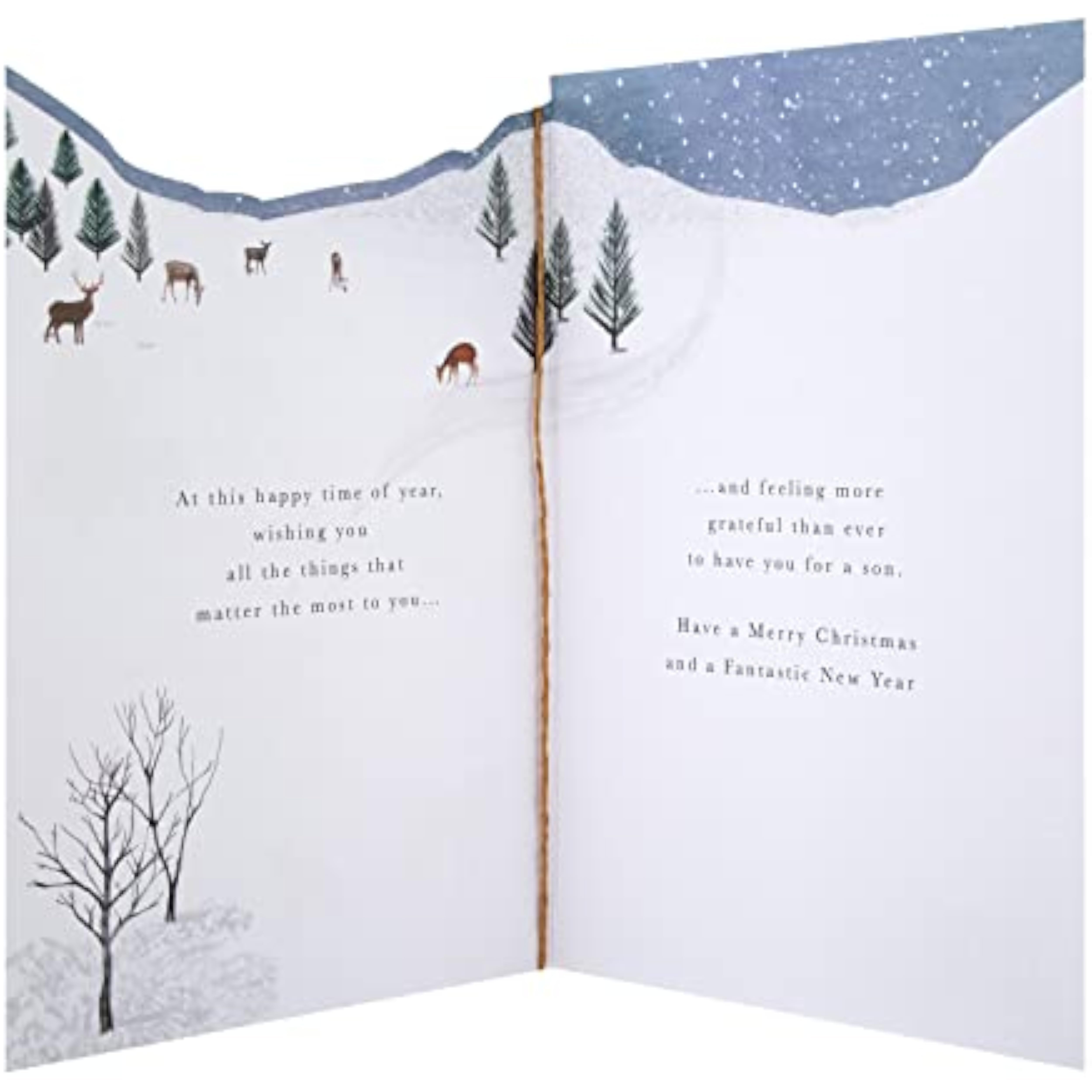 Son Christmas Greeting Card with Traditional Winter Foxes Illustration and Festive Design