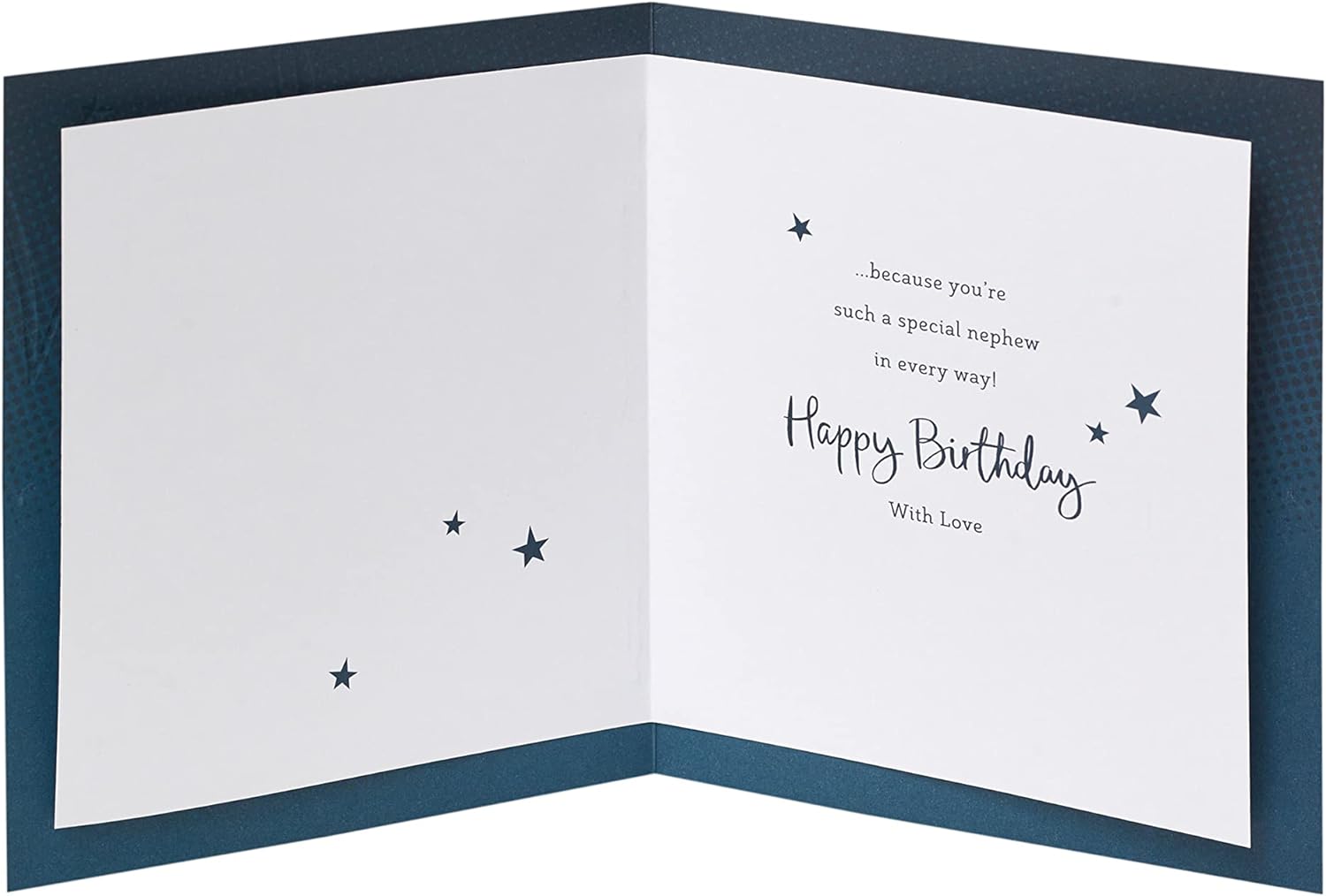 Nephew Wishing you a Brilliant Birthday Card