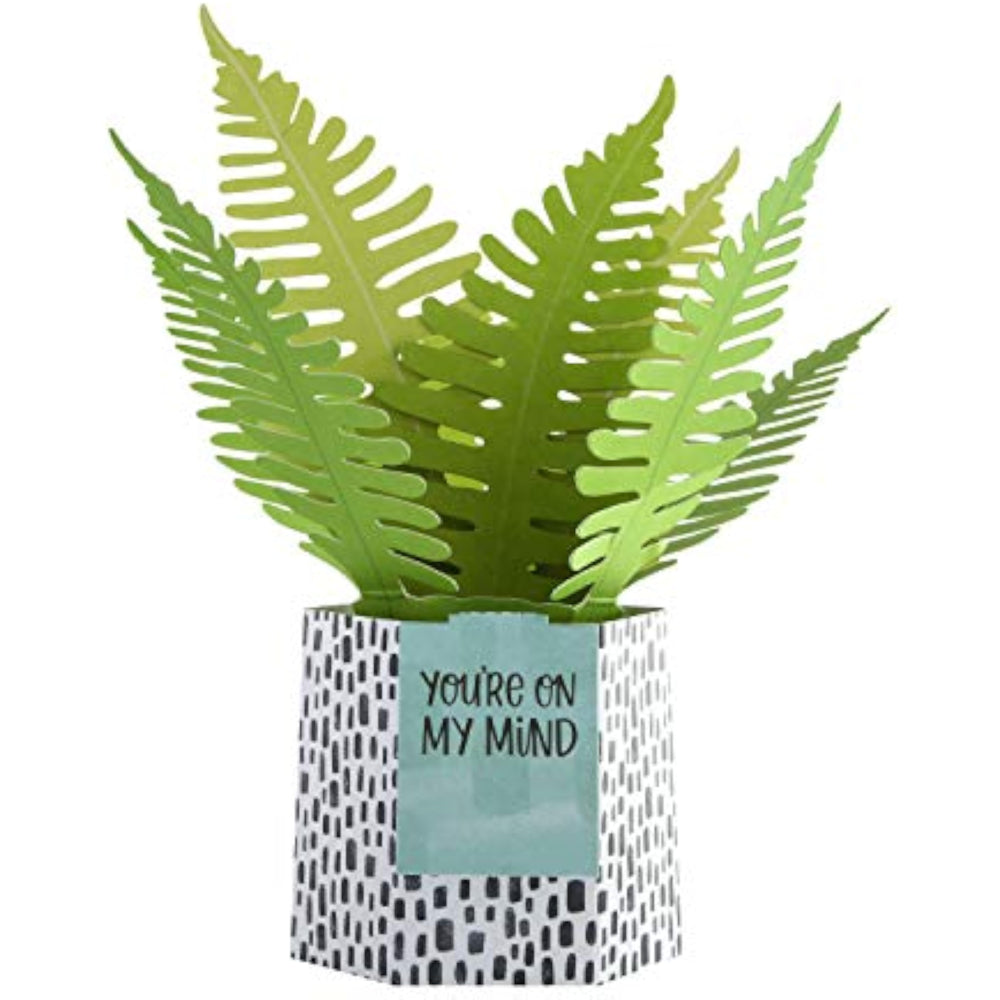 Hallmark Pop Up Card - Contemporary Fern Plant Design