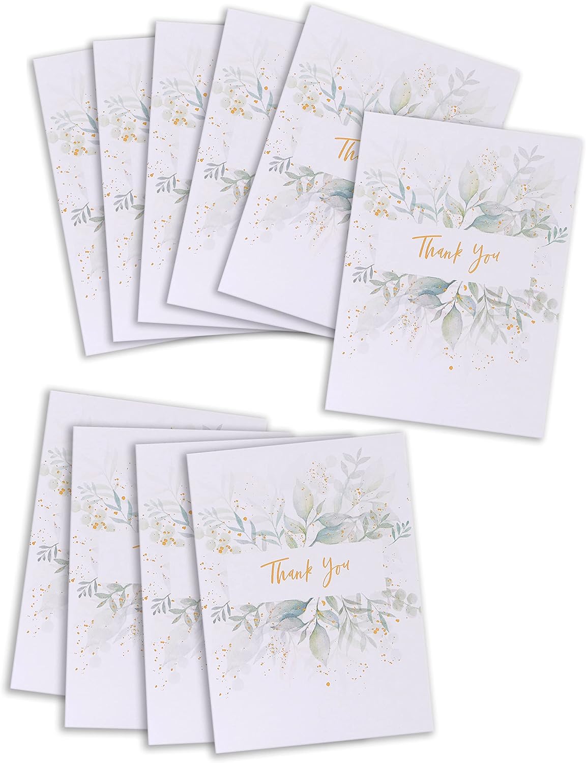 Botanical Designs Multipack of 10 Thank You Cards