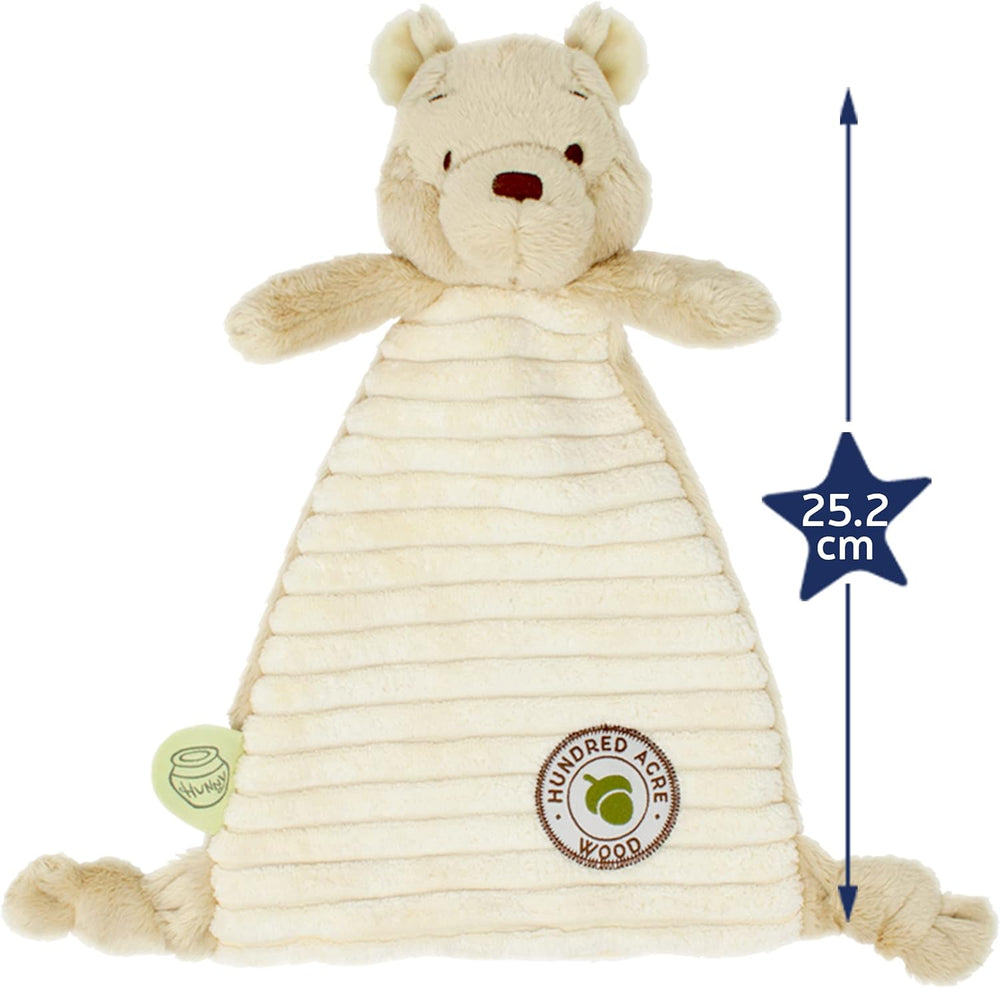 Rainbow Designs Winnie the Pooh comfort blanket from Hundred Acre Wood, soft baby toy with colorful Winnie the Pooh character.