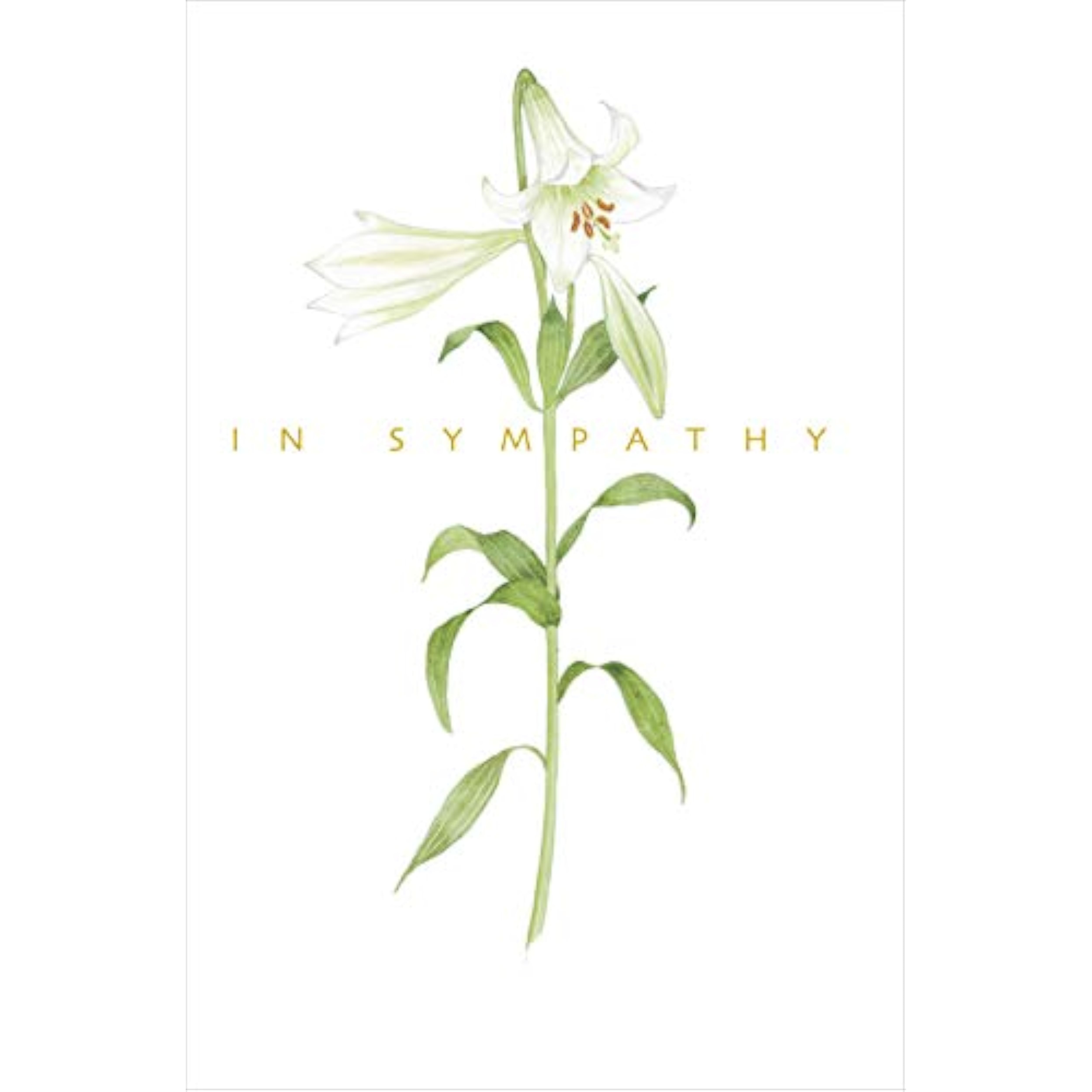 Sorry for Your Loss Sympathy Card
