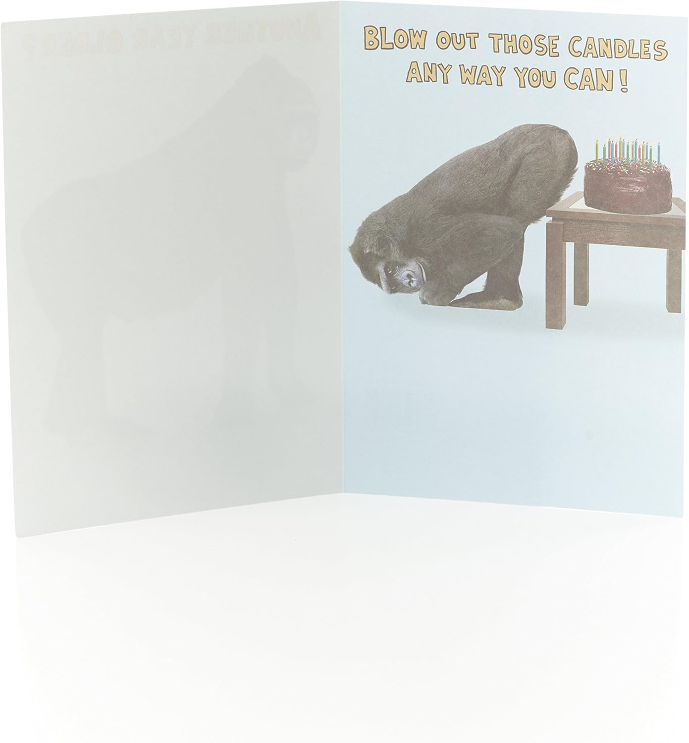 Funny Birthday Card Another Year Older