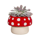 Large red mushroom planter from Sass & Belle decor collection, featuring a whimsical, decorative ceramic design with a glossy finish.