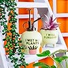 Sass & Belle Wet My Plants Mister in clear glass with a metal spray nozzle, ideal for watering and plant care.
