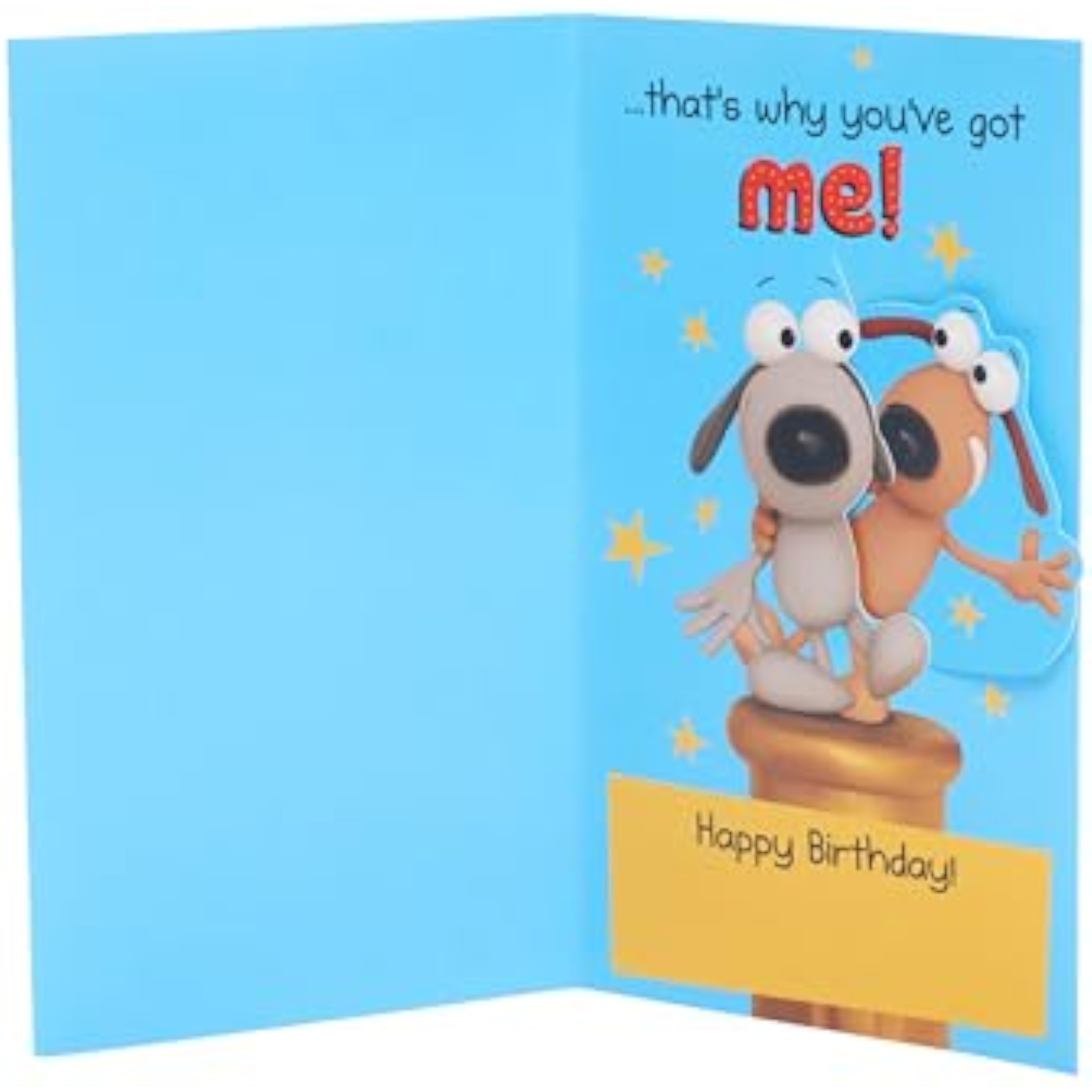 Funny Brother Birthday Greeting Card