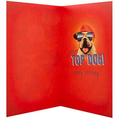 Bro Birthday Card 'Cool'