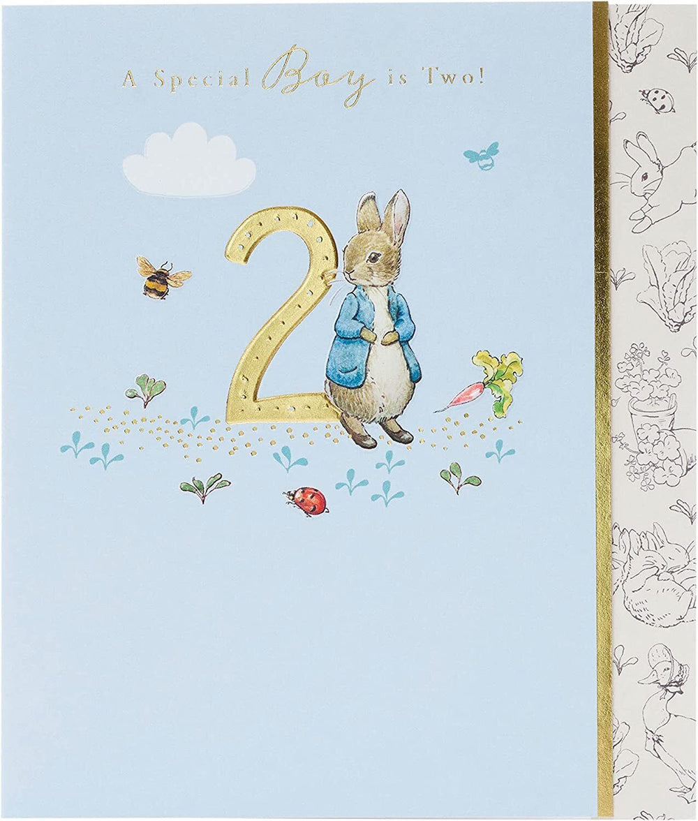 Peter Rabbit a Special Boy is Two!