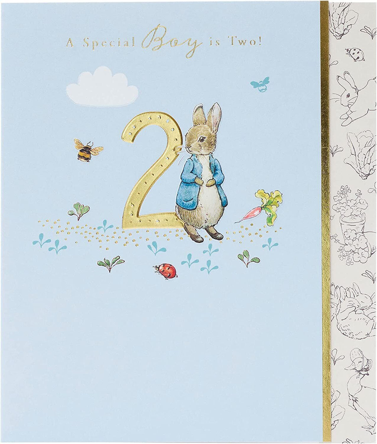 Peter Rabbit a Special Boy is Two!