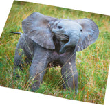 UK Greetings birthday card featuring an adorable elephant design, suitable for him, her, or a friend.