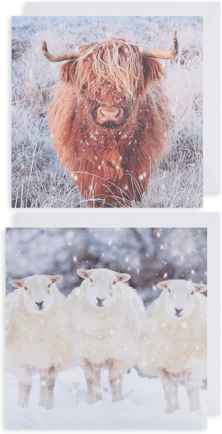 UK Greetings Winter Animals Christmas cards boxed assortment, featuring festive winter animal designs for holiday greetings.
