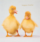 UK Greetings Easter Card for Him, Her, or Friend featuring adorable ducklings design with envelope, perfect for celebrating Easter.
