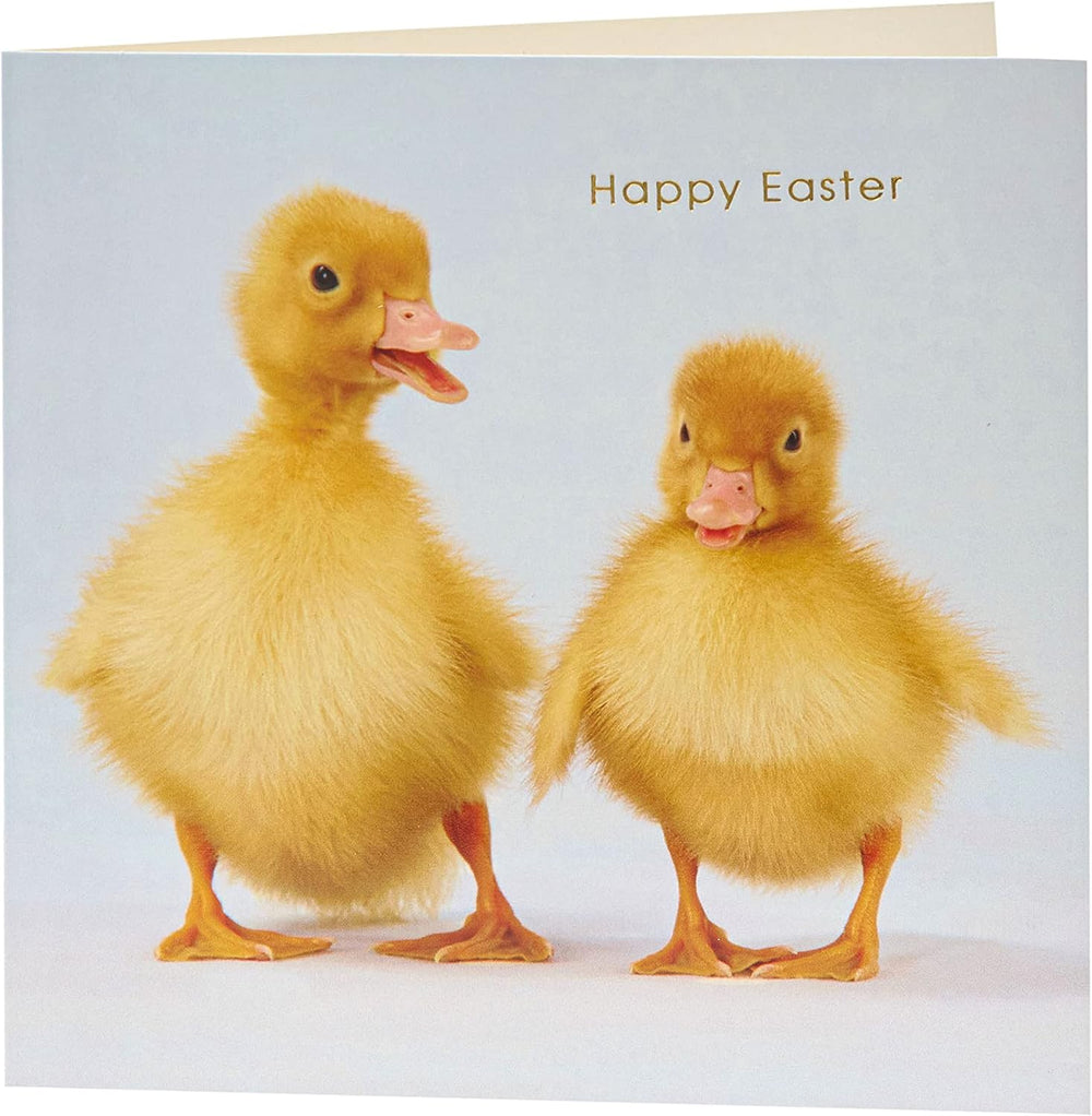 UK Greetings Easter Card for Him, Her, or Friend featuring adorable ducklings design with an envelope, perfect for celebrating Easter.