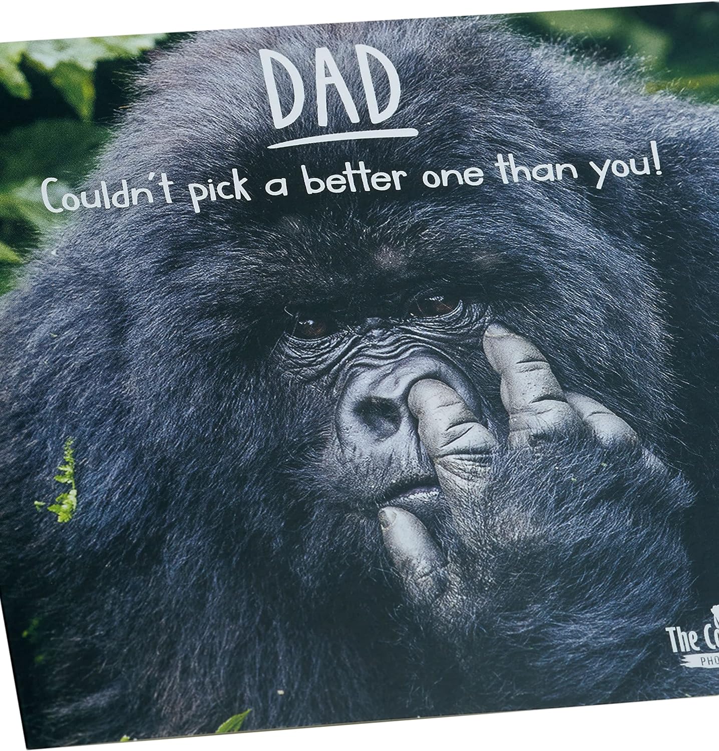 Father's Day card from UK Greetings featuring a humorous gorilla design and envelope, designed for dad.