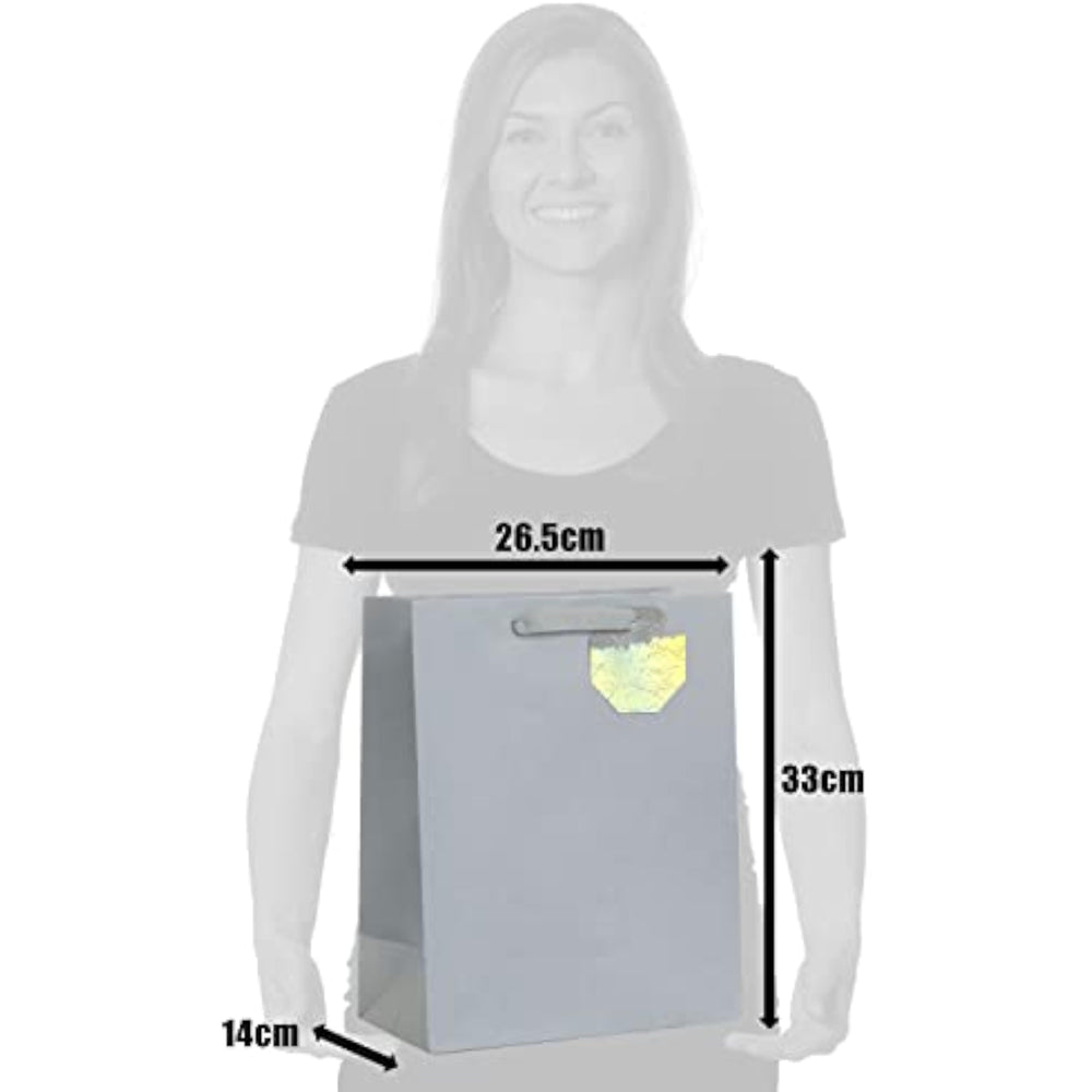 UK Greetings large silver gift bag for him, her, or friends, featuring elegant packaging design for special occasions.