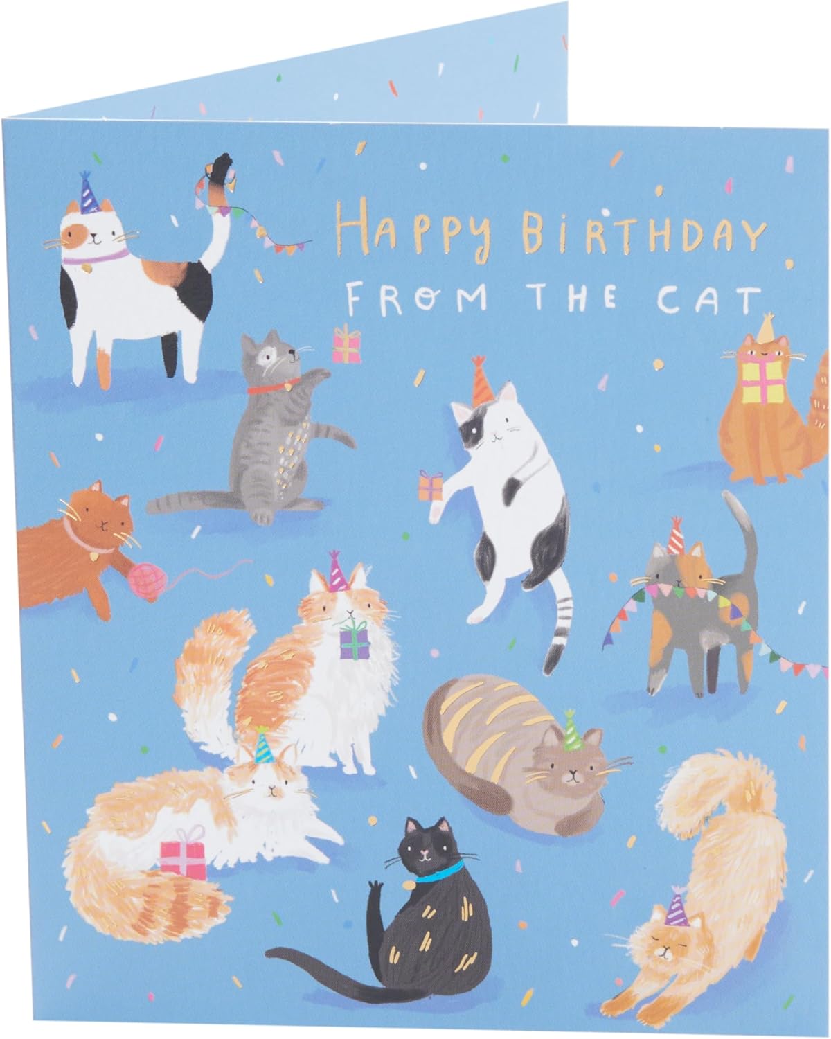 UK Greetings birthday greeting card featuring a cute cat design, suitable for him, her, or friends.