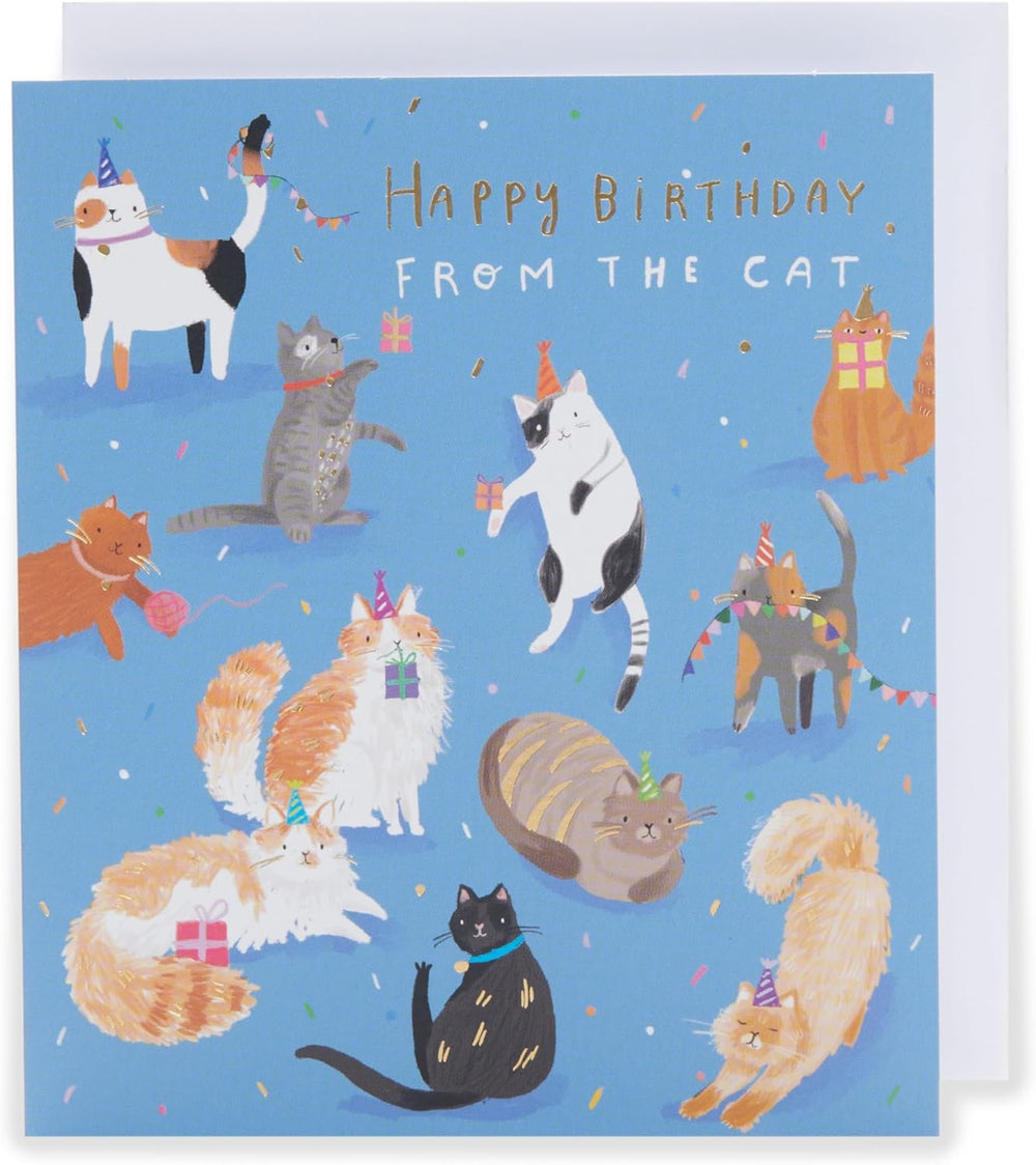 UK Greetings birthday greeting card featuring a cute cat design, suitable for him, her, or a friend.