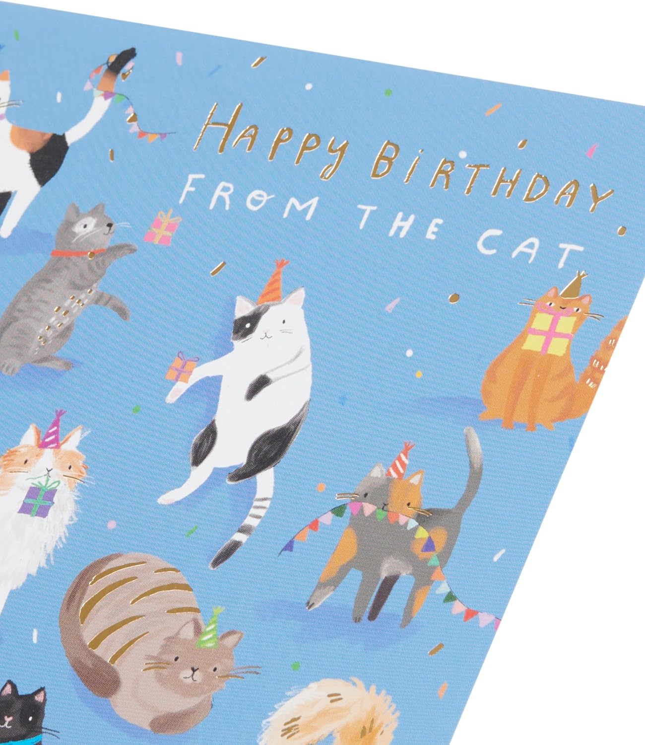 UK Greetings birthday card featuring a cute cat design, suitable for him, her, or a friend, with colorful and charming artwork.
