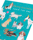 UK Greetings birthday greeting card featuring a cute dog design, suitable for him, her, or a friend.