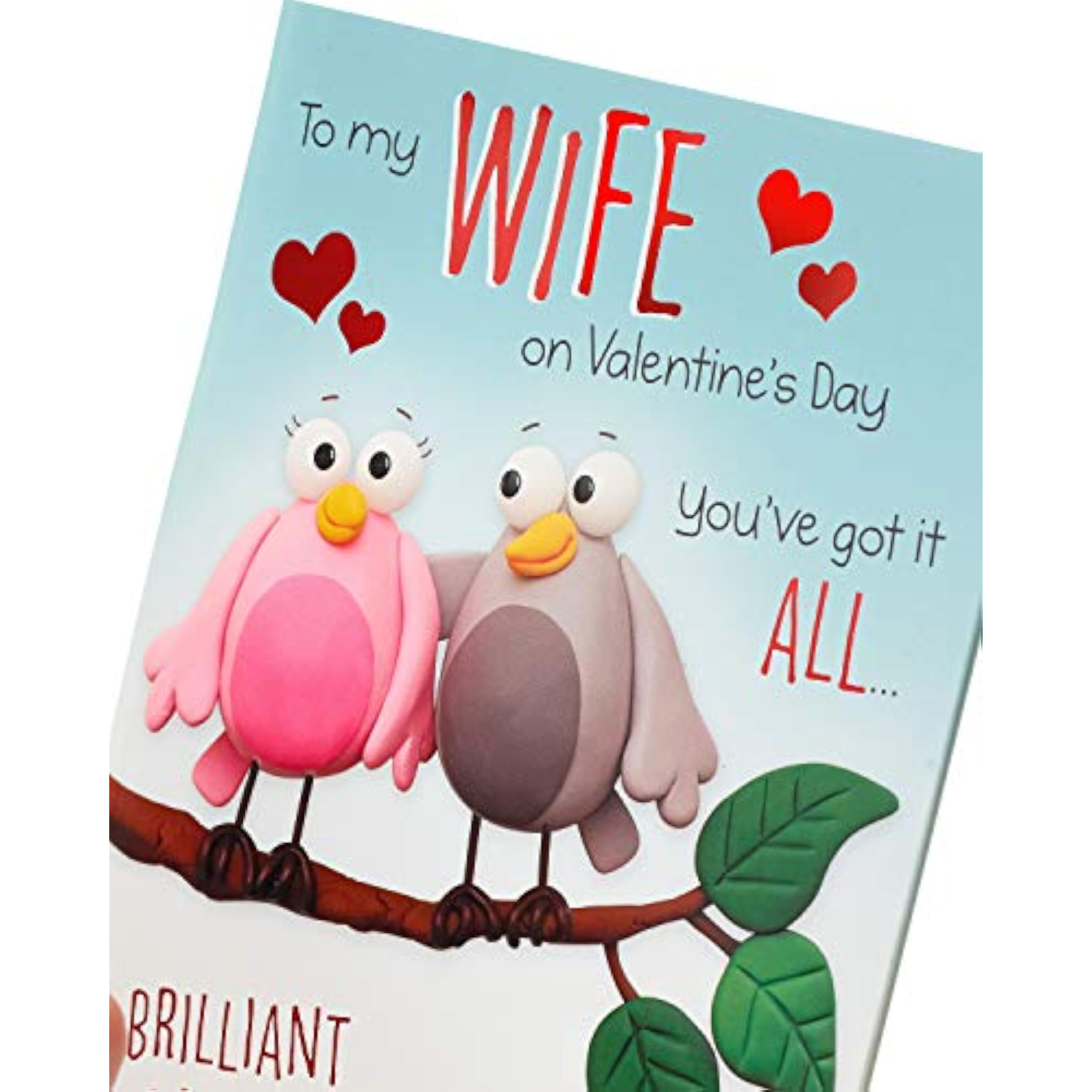 UK Greetings bird cartoon wife Valentine's Day greeting card featuring colorful bird illustrations and heartfelt message.
