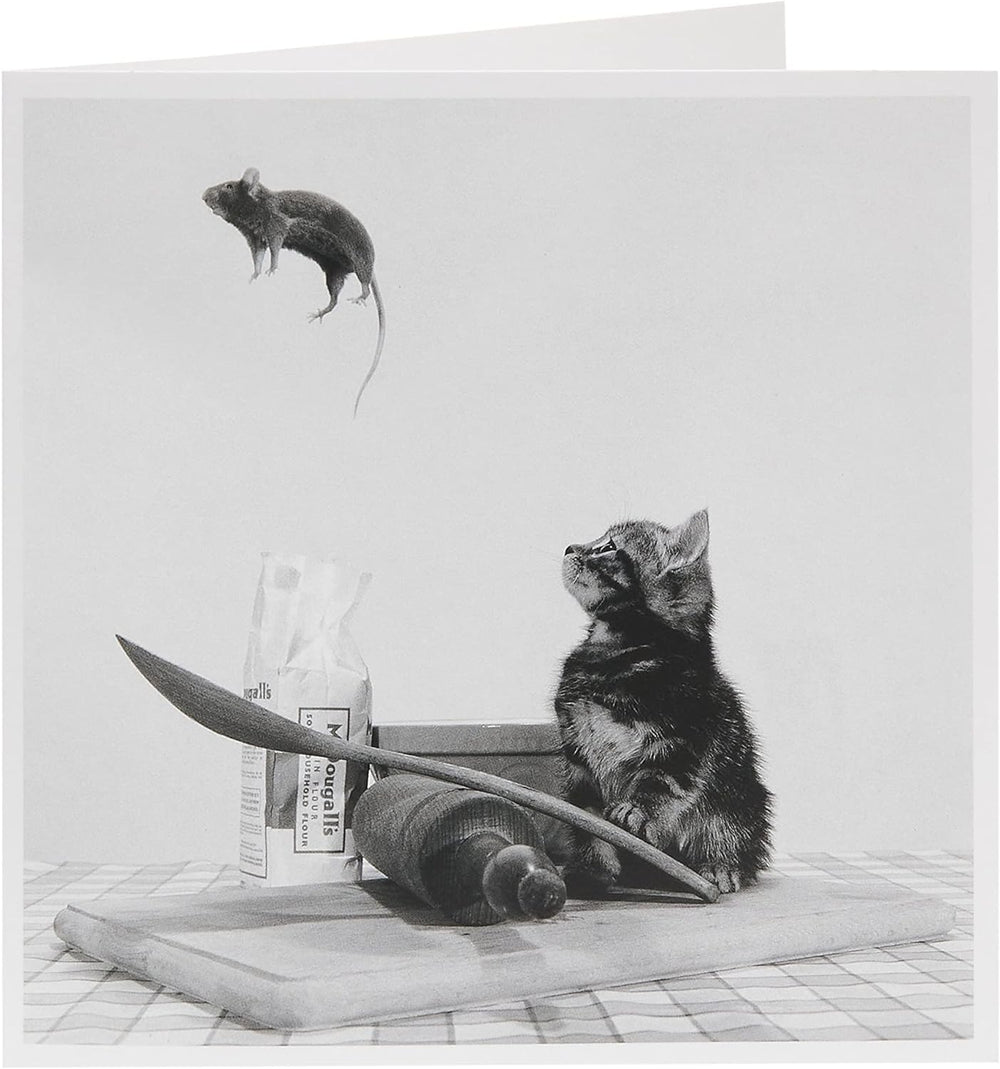 UK Greetings birthday card for him, her, or friends featuring a playful cat and mouse design, perfect for celebrating special occasions.