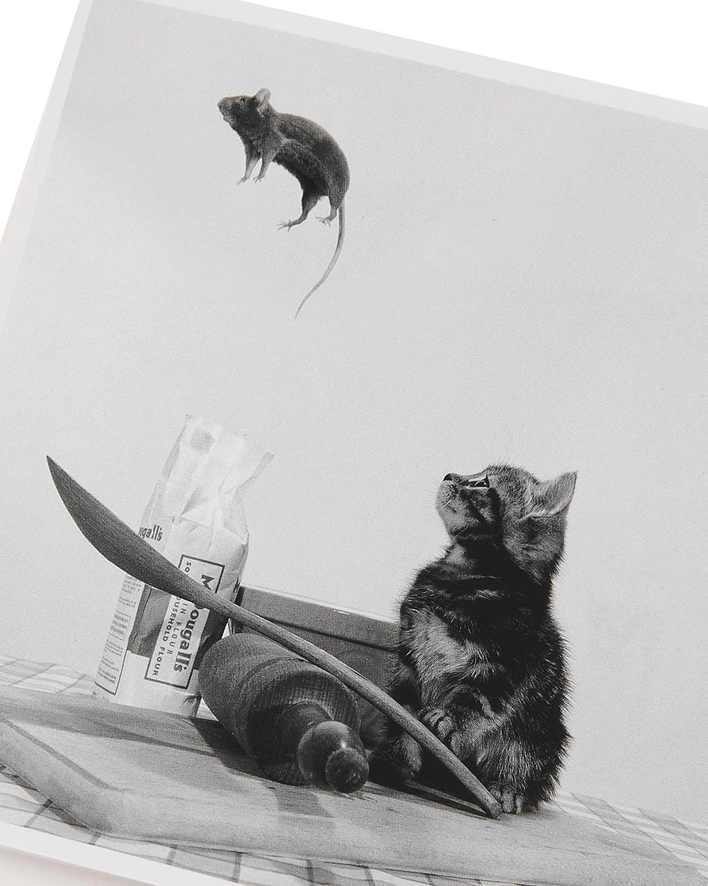 UK Greetings birthday card for him, her, or friends featuring a cute cat and mouse design, perfect for special occasions.