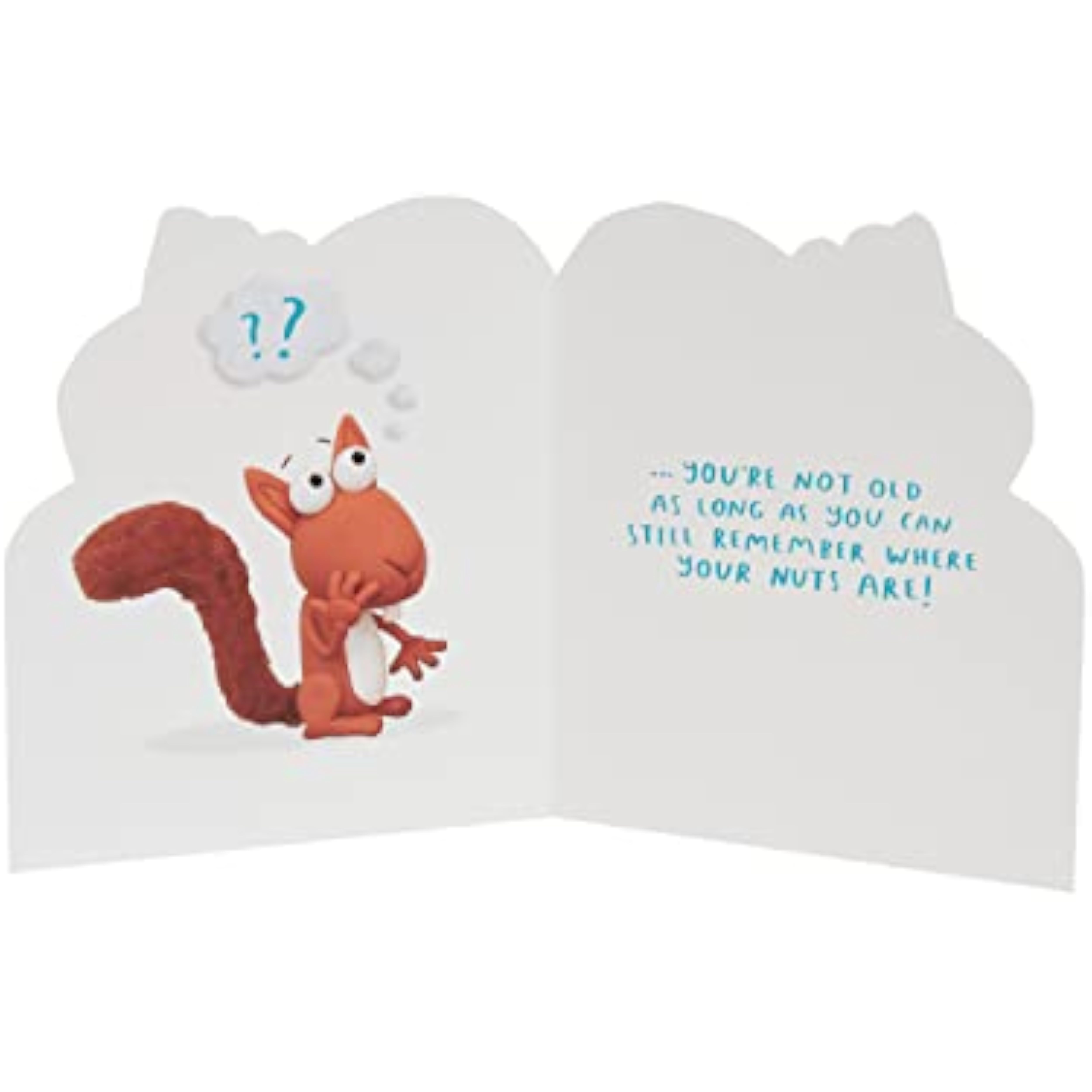 UK Greetings birthday card for him, her, or friend featuring a funny squirrel design with envelope, perfect for special occasions.