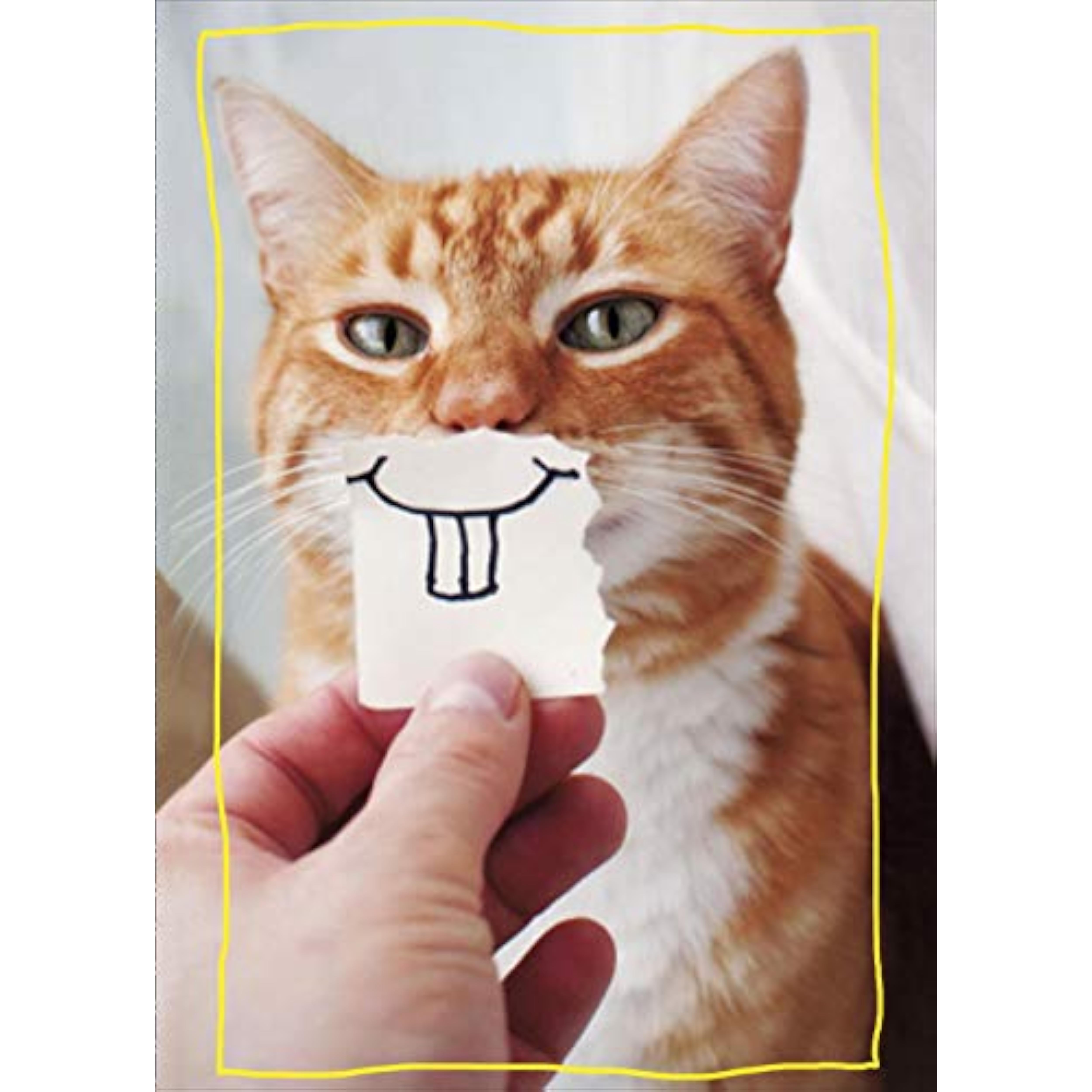 UK Greetings funny birthday card featuring a goofy cat illustration on a bottlecap design, perfect for celebrating with humor.