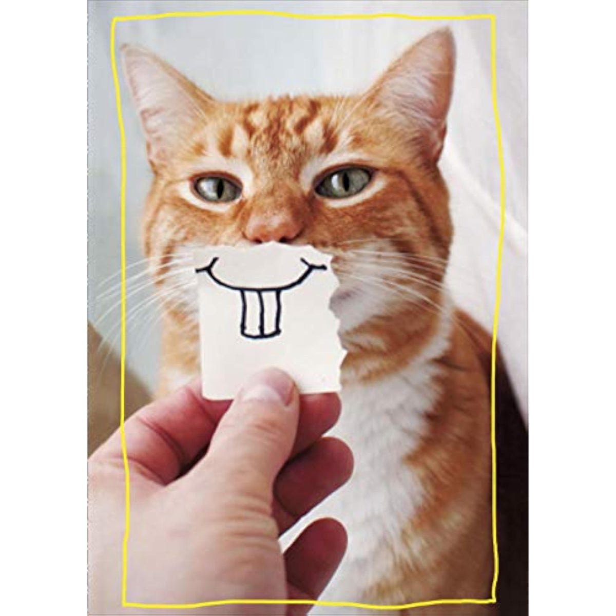 UK Greetings funny birthday card featuring a goofy cat illustration on a bottlecap design, perfect for celebrating with humor.