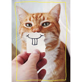 UK Greetings funny birthday card featuring a goofy cat illustration on a bottlecap design, perfect for celebrating with humor.
