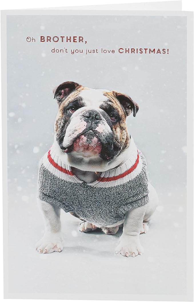 UK Greetings Bulldog in Christmas Jumper greeting card, festive brother Christmas card featuring a cute bulldog in a holiday sweater.