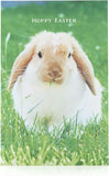 Set of 5 UK Greetings Bunny Hoppy Easter greeting cards featuring festive bunny designs for Easter celebrations.