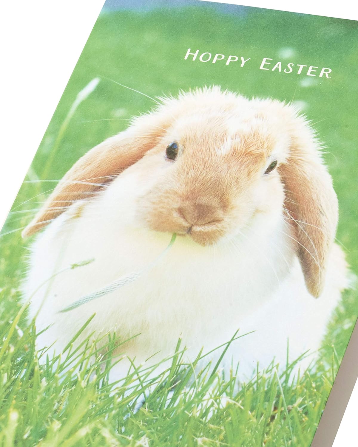 Set of 5 UK Greetings Bunny Hoppy Easter greeting cards featuring colorful bunny designs for celebrating Easter.