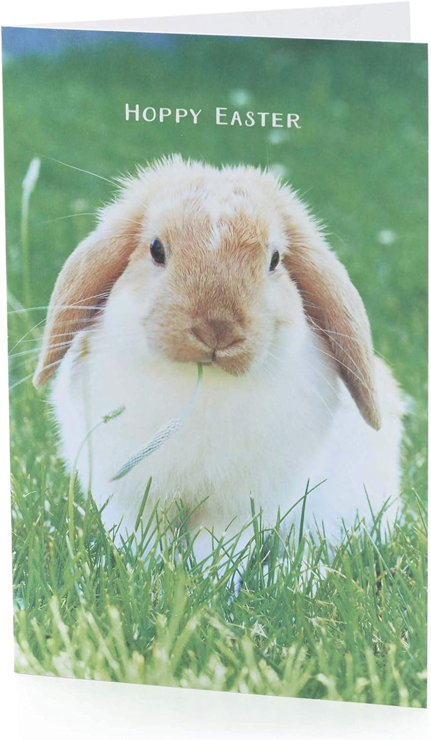 UK Greetings Bunny Hoppy Easter greeting cards, pack of 5, featuring colorful bunny designs for celebrating Easter.