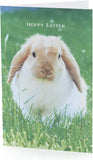 UK Greetings Bunny Hoppy Easter greeting cards, pack of 5, featuring colorful bunny designs for celebrating Easter.