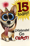 UK Greetings Celebrate Go Crazy 15th Birthday Card with colorful design, perfect for marking a 15th birthday celebration.