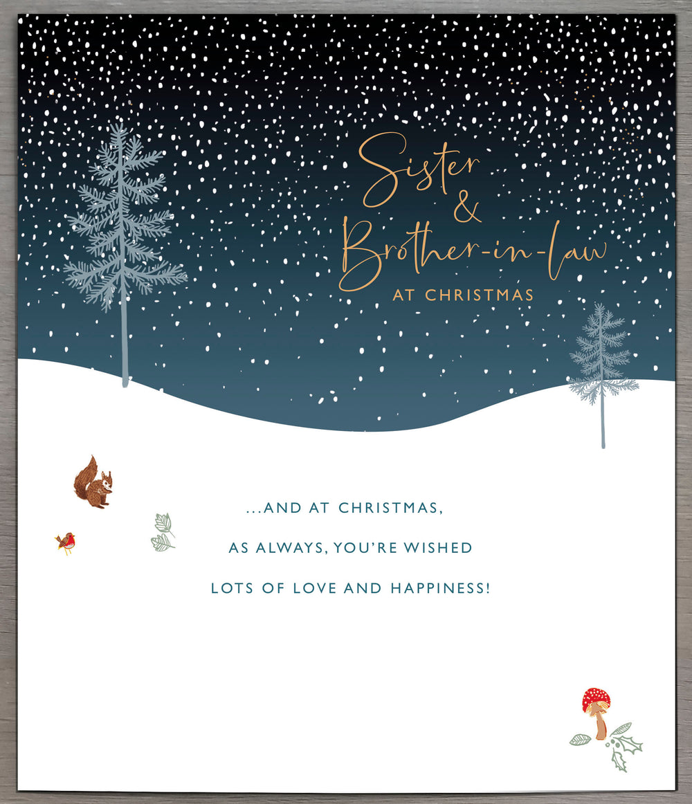 UK Greetings Deer Christmas scene greeting card featuring a sister and brother-in-law, festive holiday design for Christmas wishes.
