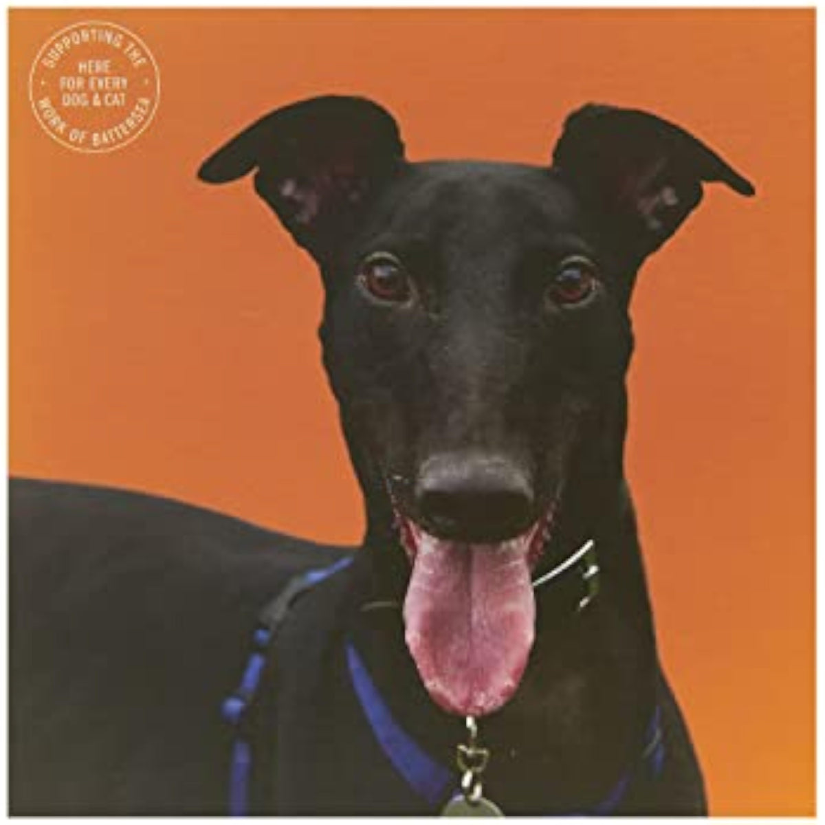 UK Greetings dog design Battersea birthday card, colorful greeting card featuring a playful dog illustration.