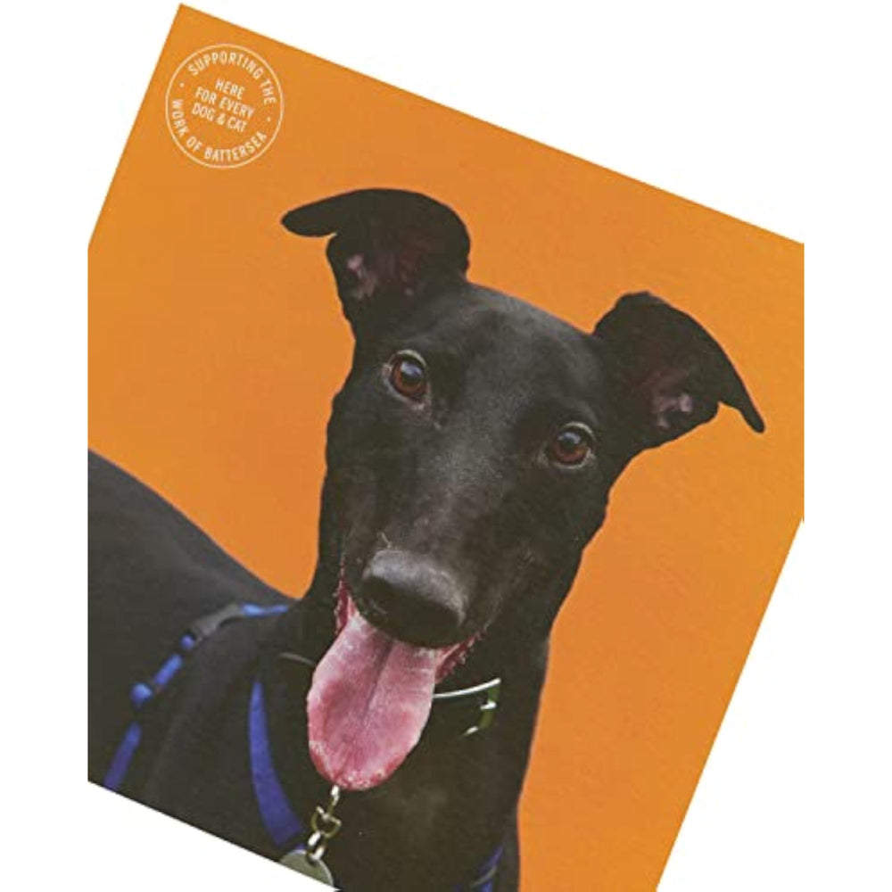 UK Greetings Dog Design Battersea Birthday Card, colorful greeting card featuring a playful dog illustration for birthdays.