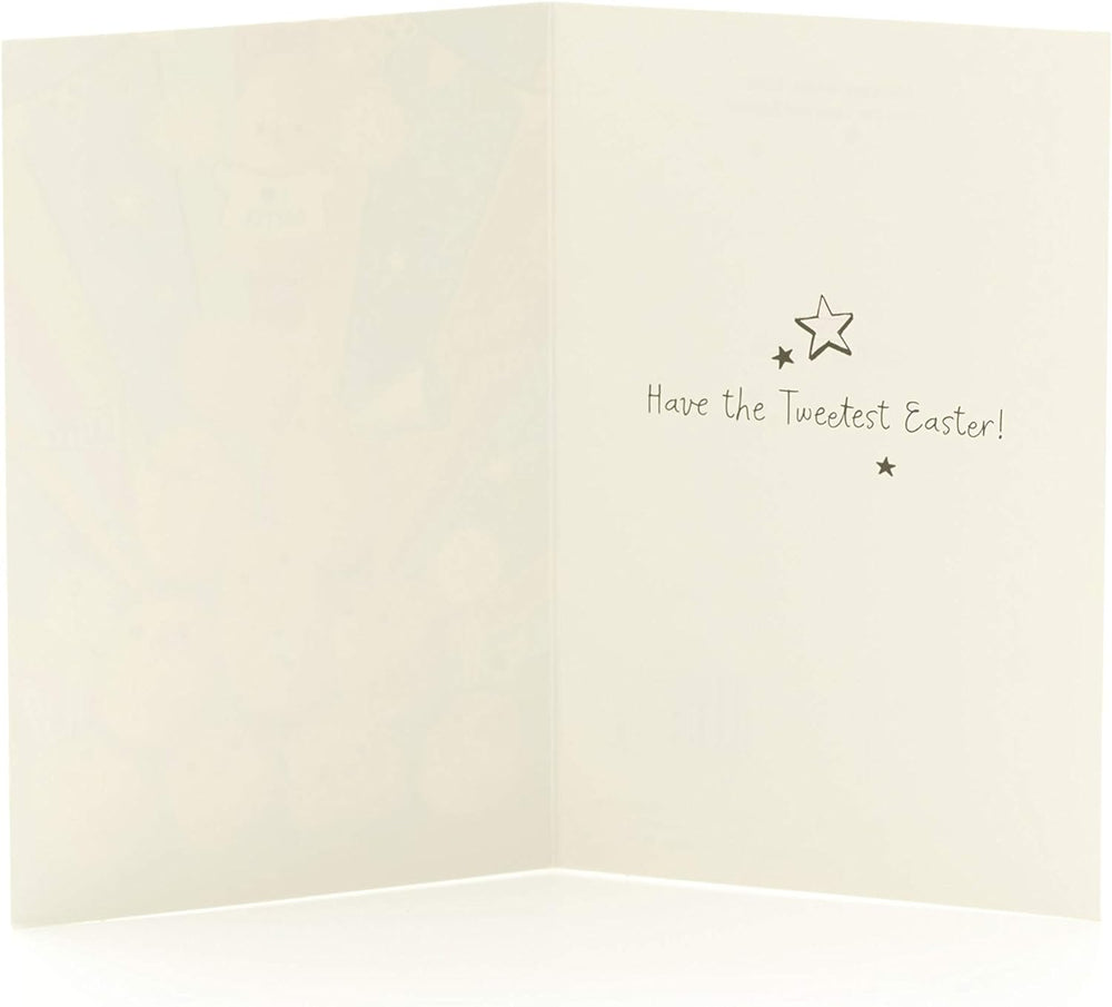 UK Greetings Easter Bunny Easter card featuring a colorful bunny design, perfect for celebrating Easter with a greeting card.