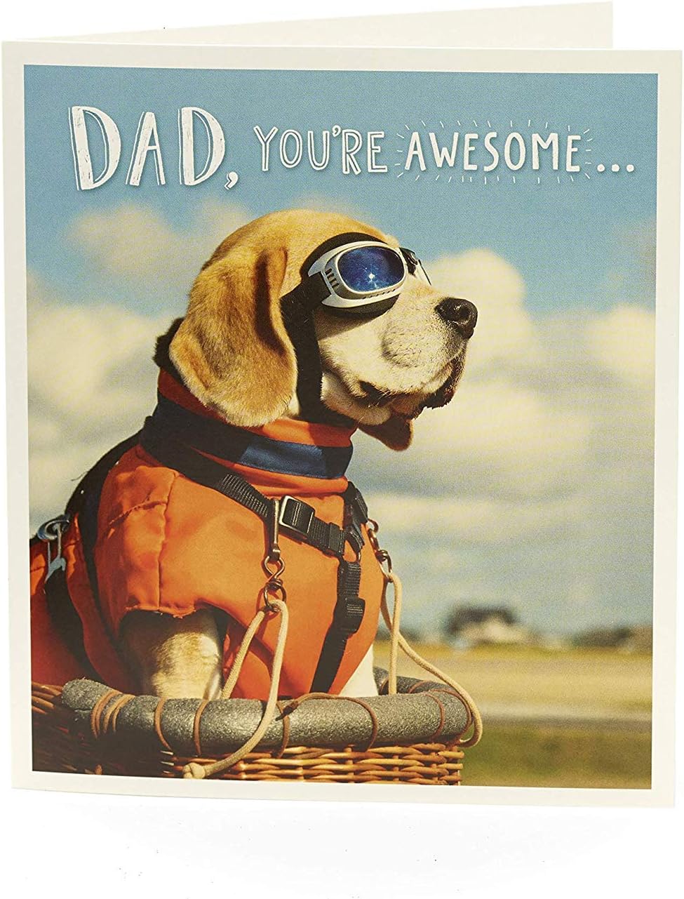 Funny dog dad birthday greeting card by UK Greetings featuring humorous dog illustration and celebratory design.