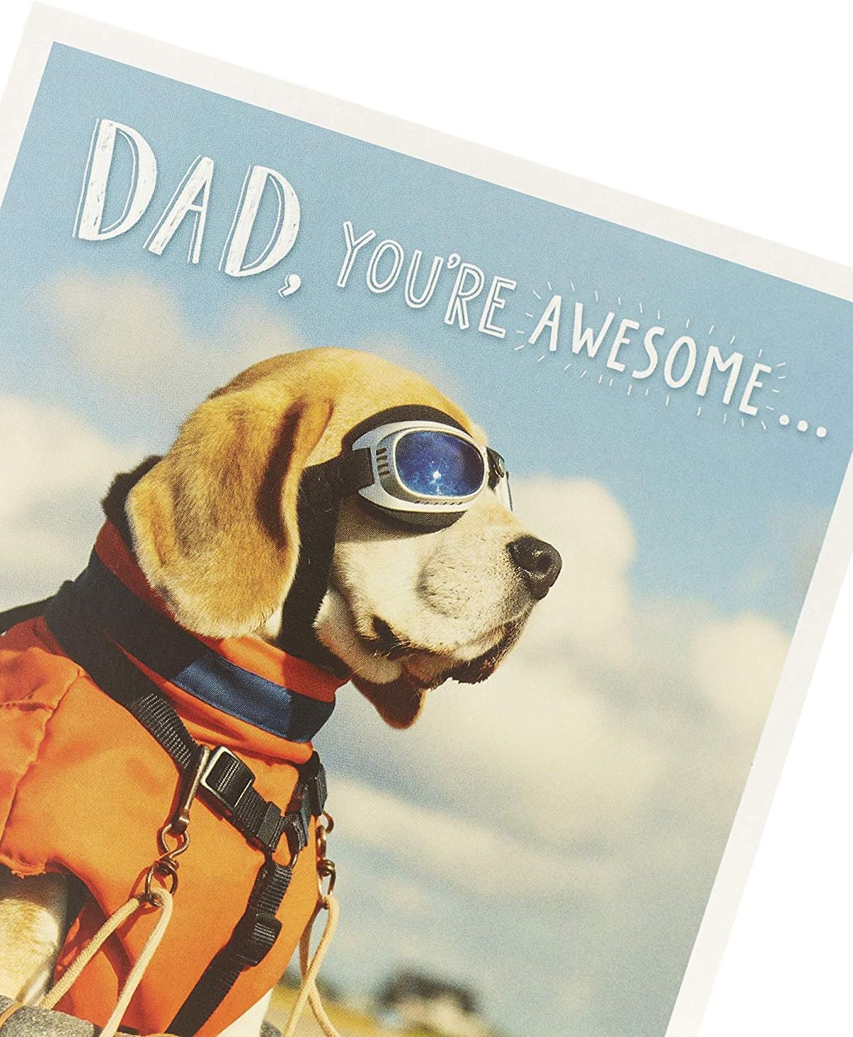 UK Greetings Funny Dog Dad Birthday Card featuring playful dog illustration and humorous message for special celebrations
