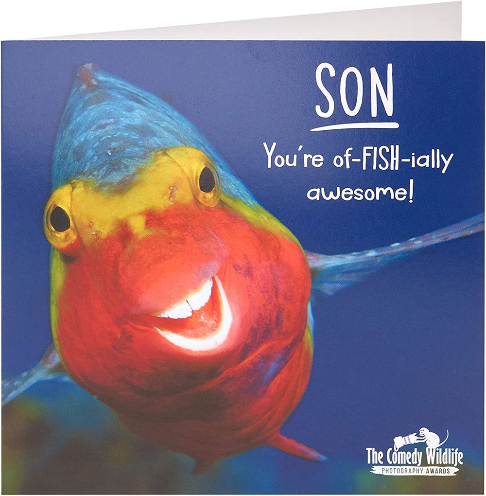 UK Greetings funny fish wildlife birthday card for son, featuring colorful fish and humorous wildlife design.