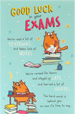 UK Greetings funny good luck in your exam greeting card with humorous design and cheerful message for students.