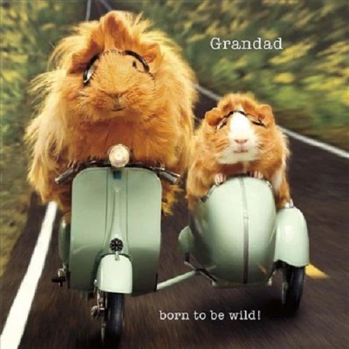 UK Greetings Grandad Born to Be Wild Father’s Day Card featuring colorful wild animal design and heartfelt message.
