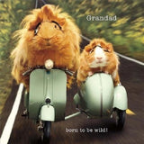 UK Greetings Grandad Born to Be Wild Father’s Day Card featuring colorful wild animal design and heartfelt message.